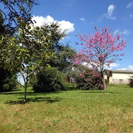 Chatelavy, Phoenix