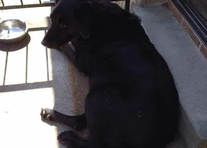 شقة Chatelavy, Phoenix