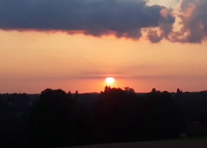 Chatelavy, Phoenix * Mialet (Dordogne)